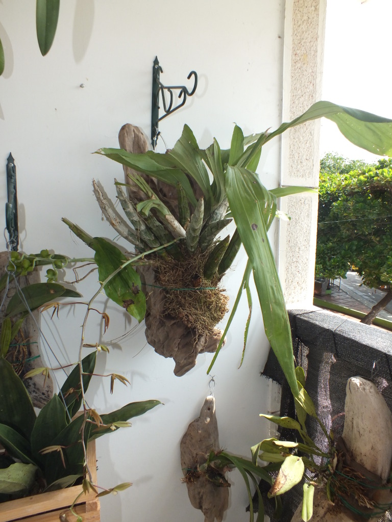 DSCF2103.jpg