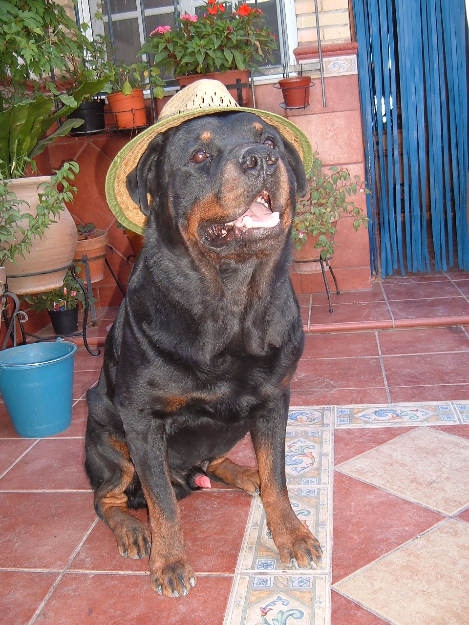 Dscf2113.jpg
