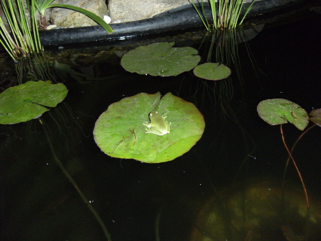 DSCF2114.jpg