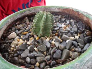 DSCF2131.jpg