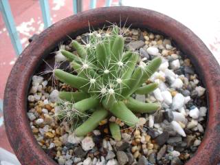 DSCF2136.jpg