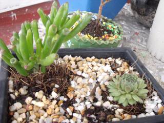 DSCF2151.jpg