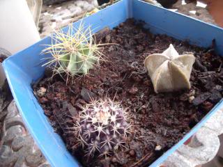 DSCF2153.jpg