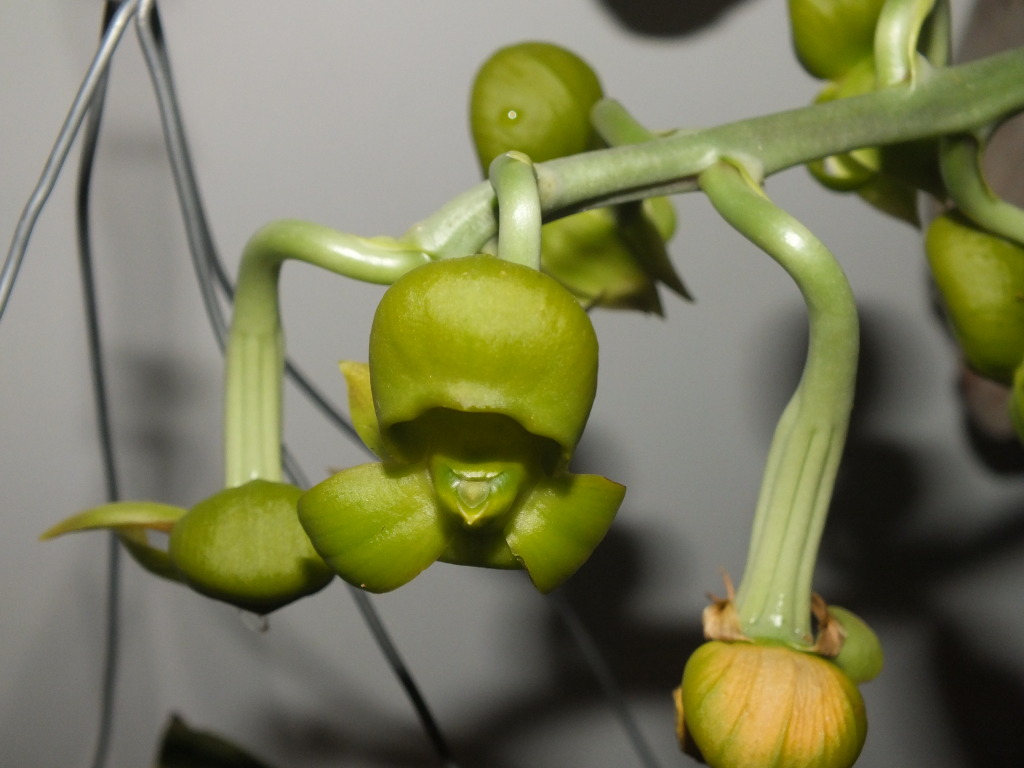 DSCF2153.jpg