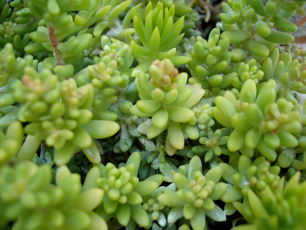 DSCF2156.jpg