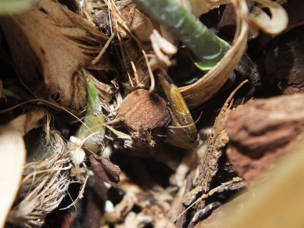 DSCF2159.jpg