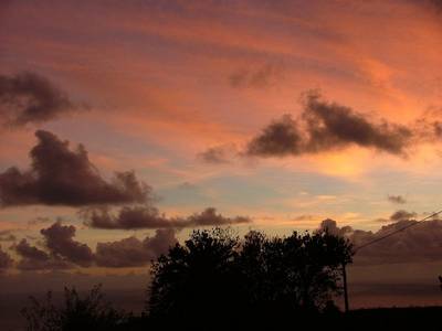 DSCF2227.JPG
