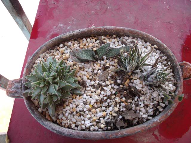 DSCF2230.jpg