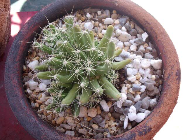 DSCF2237.jpg