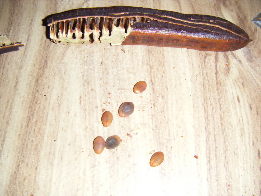 DSCF2241.jpg