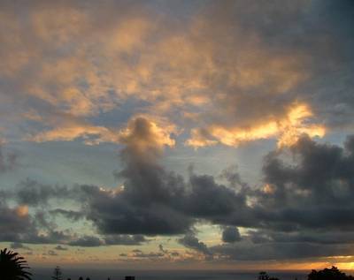 DSCF2262.JPG
