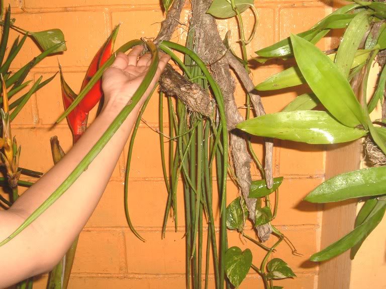 DSCF2286.jpg