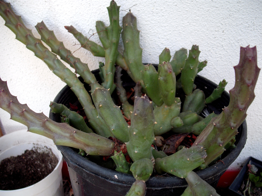DSCF2301.jpg