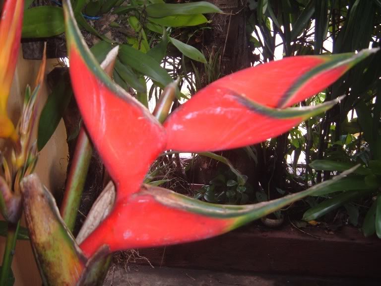 DSCF2315.jpg