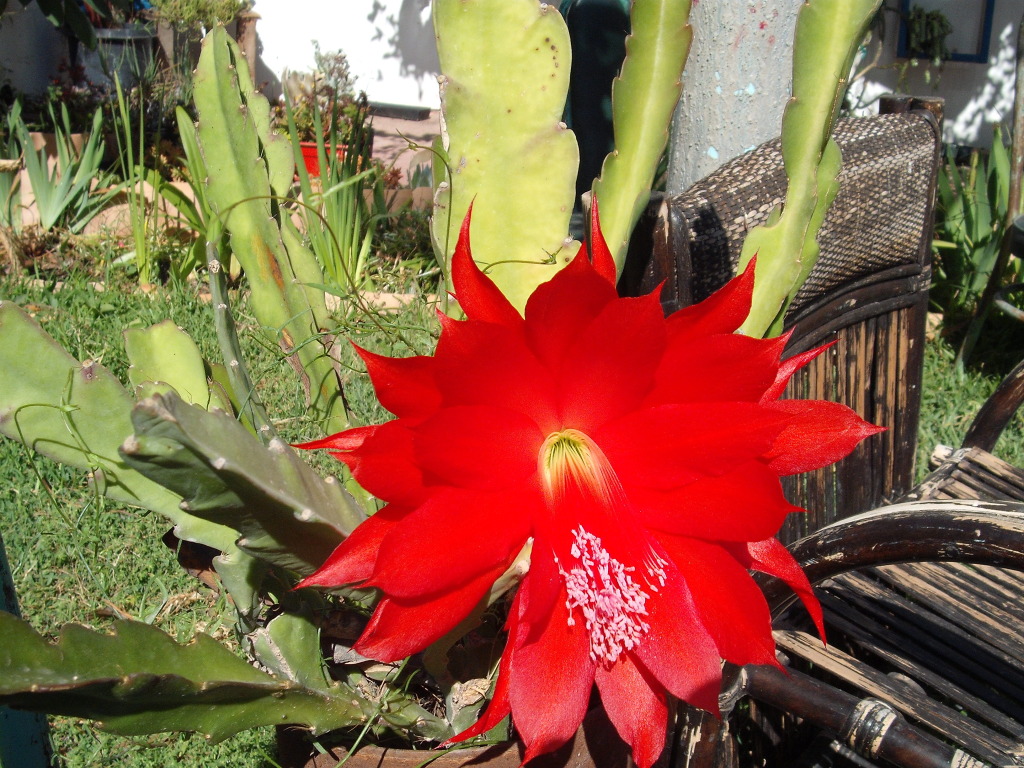 DSCF2319.jpg