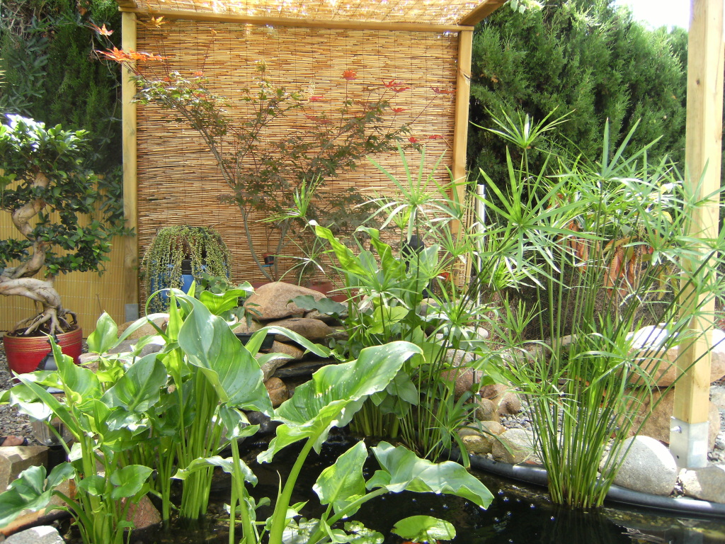 DSCF2334.jpg