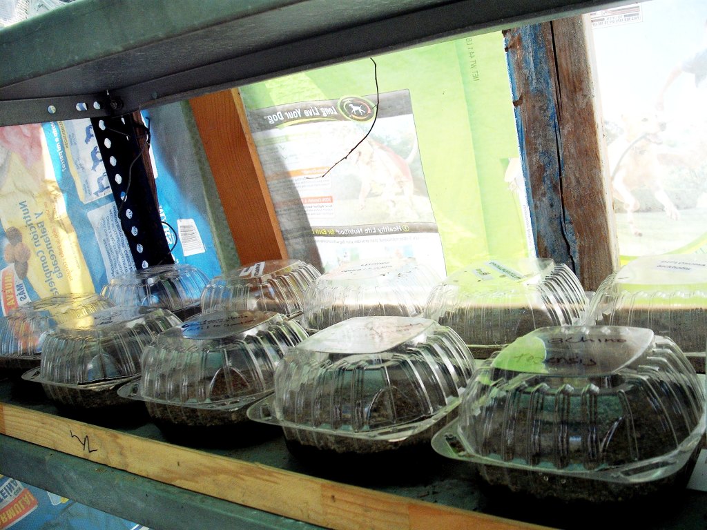 DSCF2334.jpg