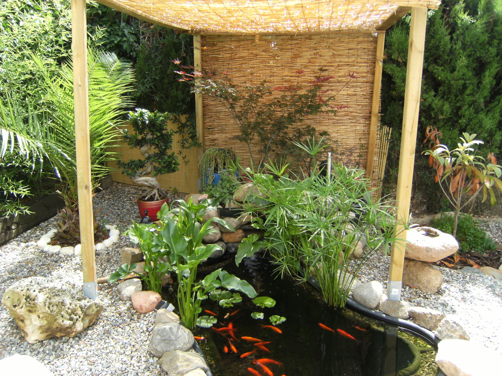 DSCF2336.jpg
