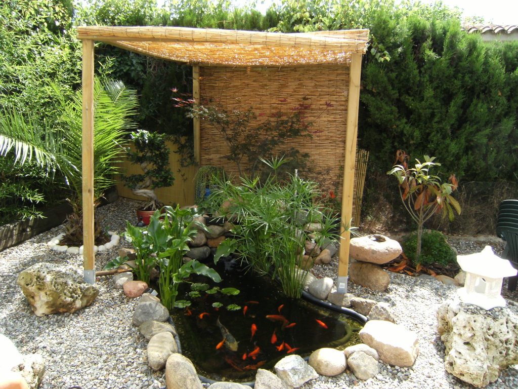 DSCF2337.jpg