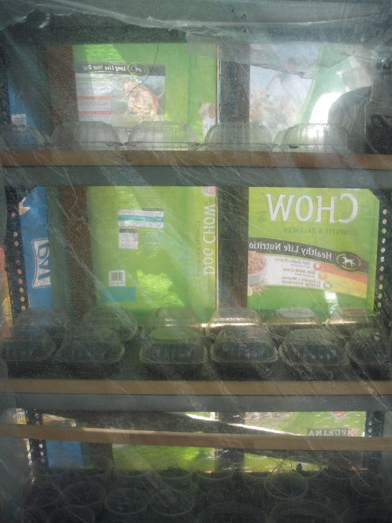 DSCF2342.jpg
