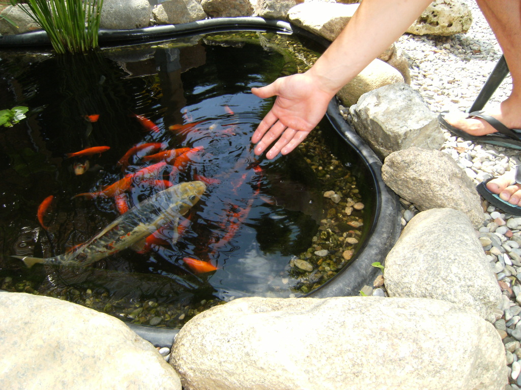 DSCF2349.jpg
