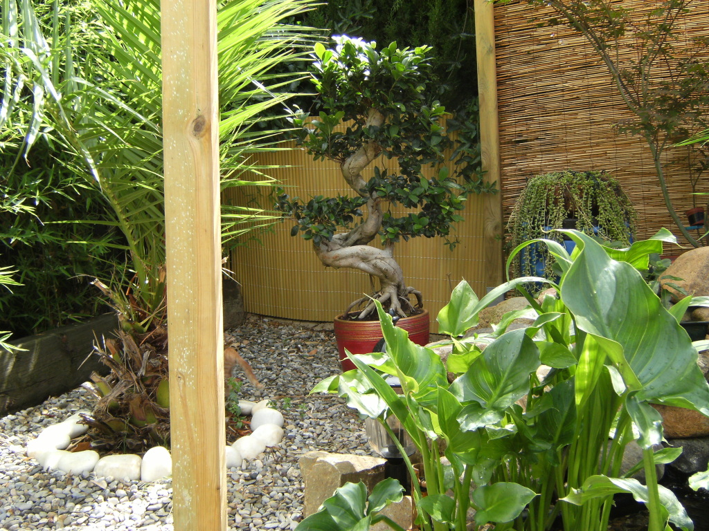 DSCF2351.jpg