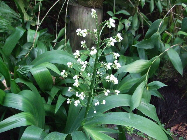 DSCF23751.jpg