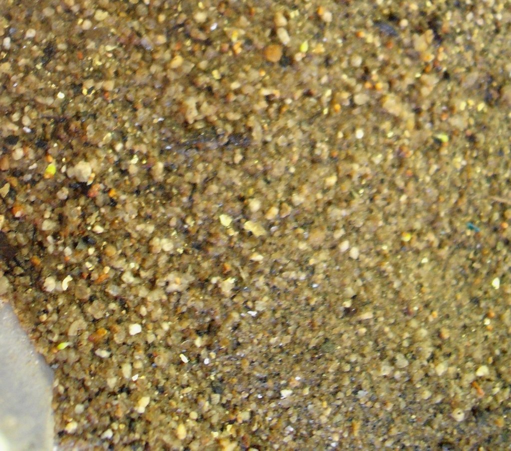 DSCF2413.jpg