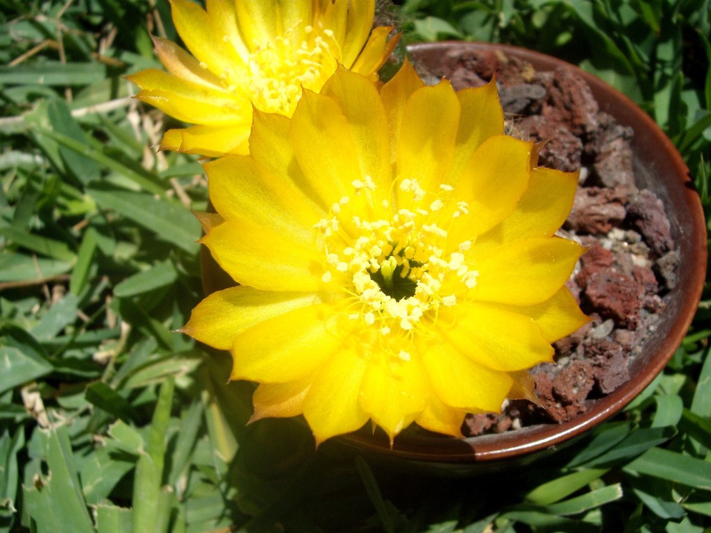 DSCF2471.jpg