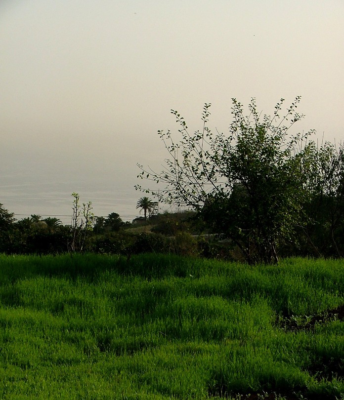DSCF2520.JPG