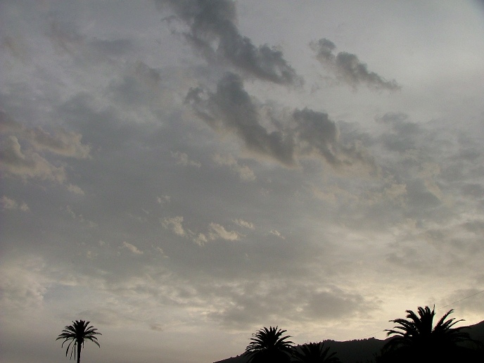DSCF2524.JPG