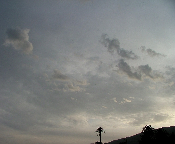 DSCF2525.JPG