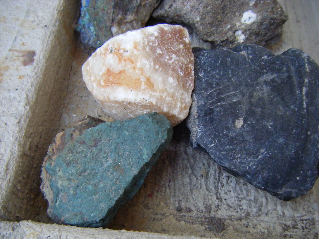 DSCF2558.jpg