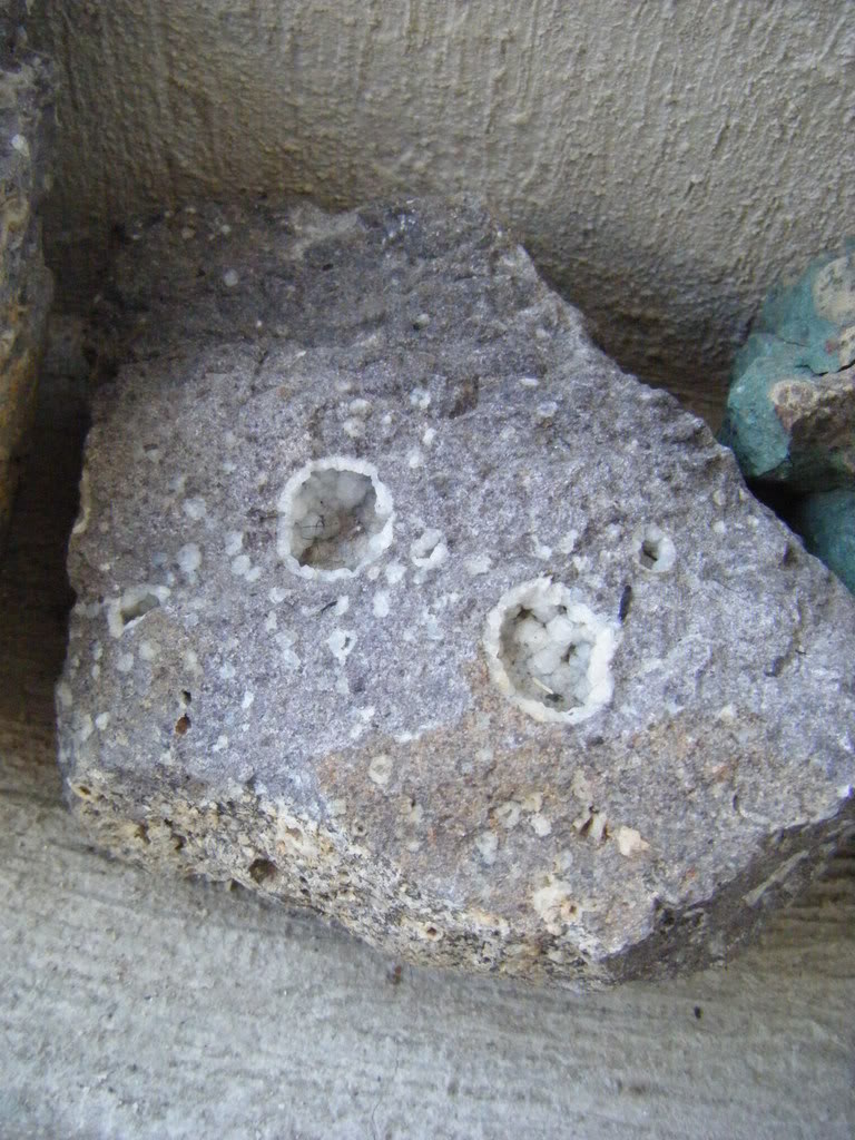 DSCF2565.jpg