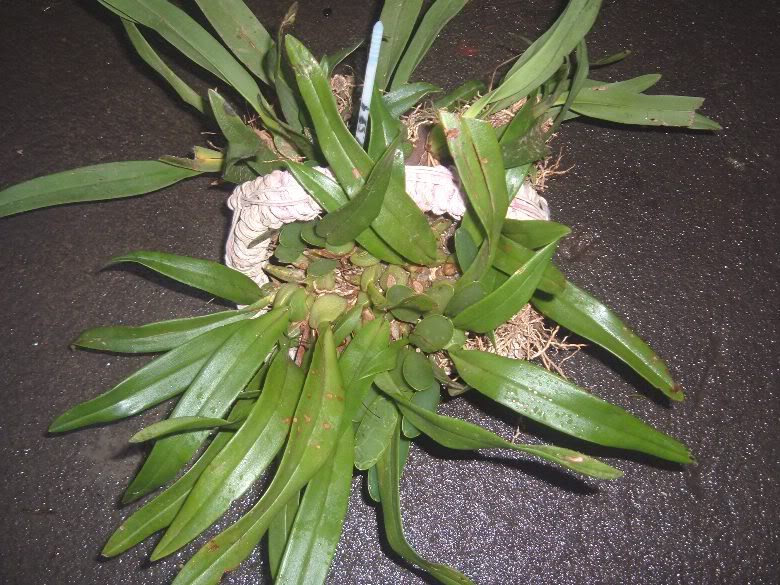 DSCF2566.jpg