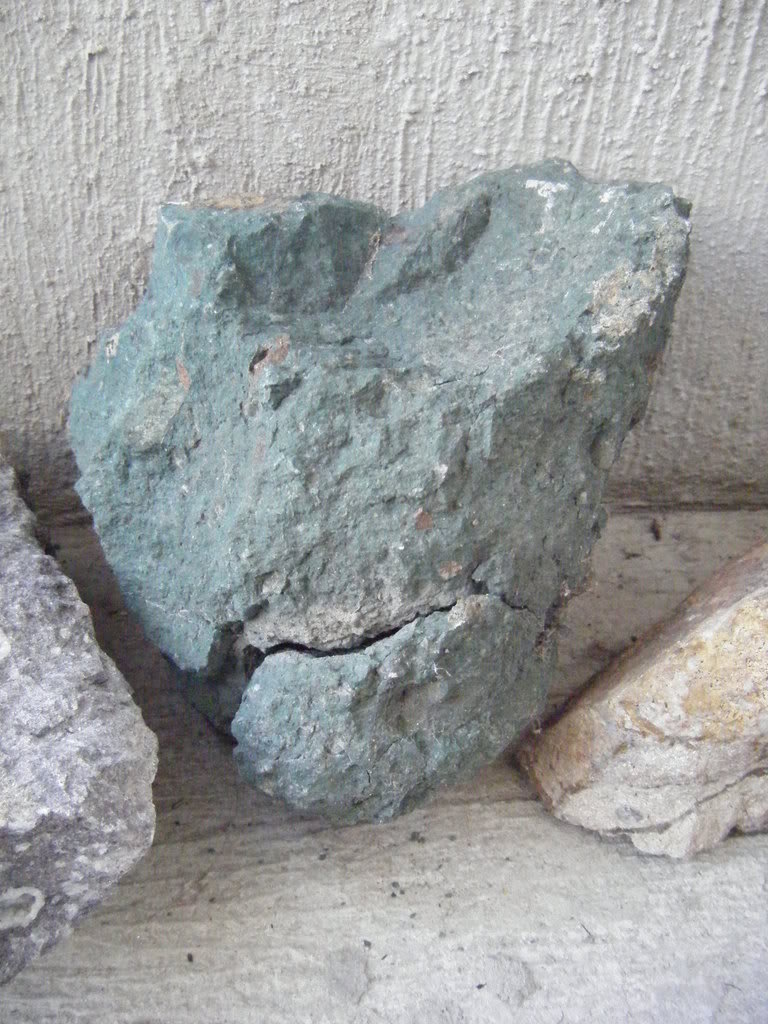 DSCF2566.jpg