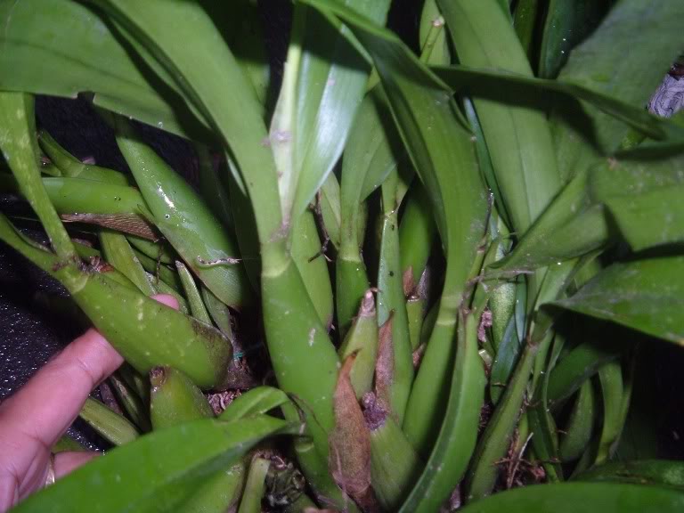DSCF2569.jpg
