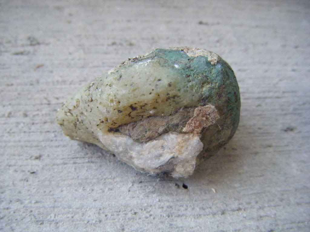 DSCF2572.jpg