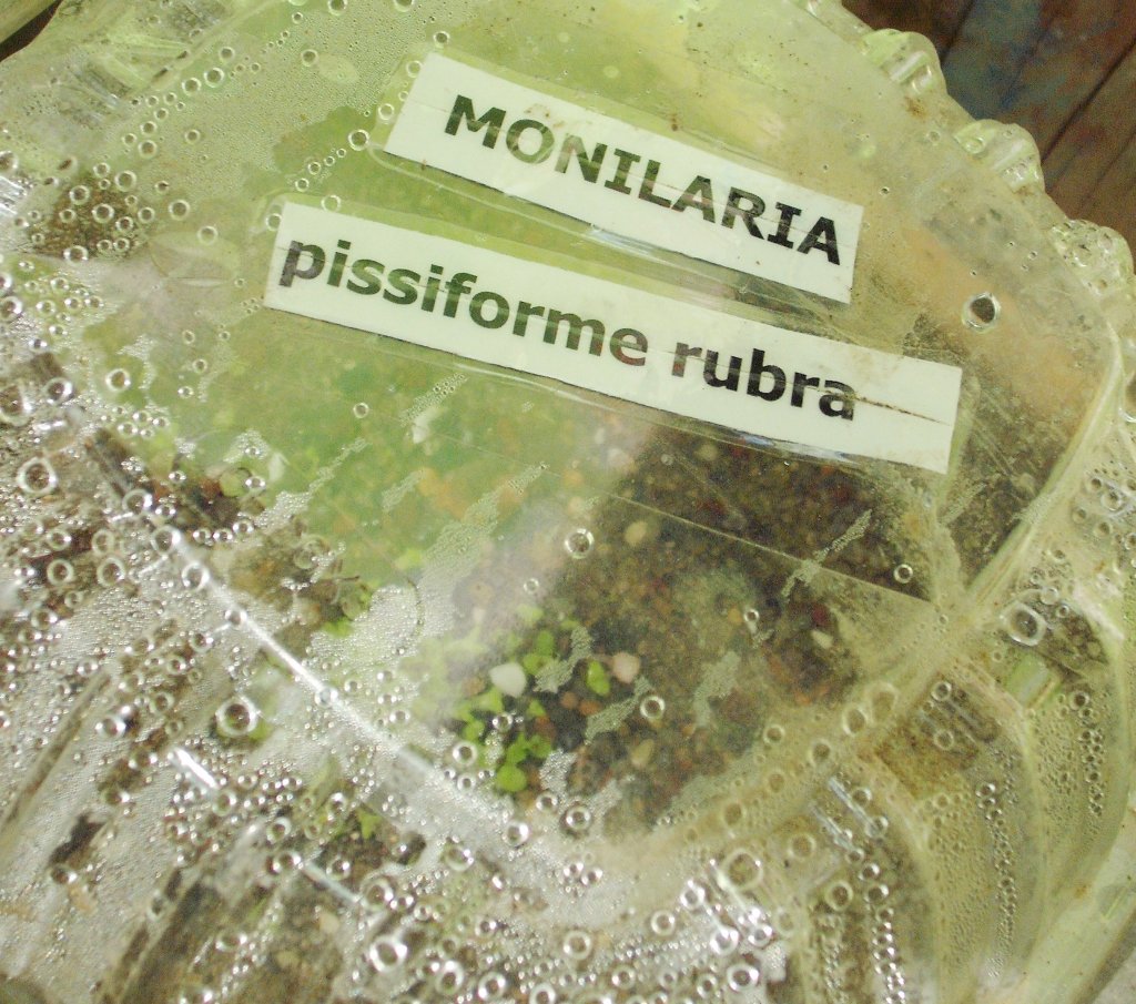 DSCF2593.jpg