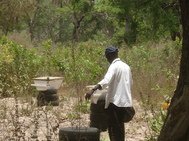 DSCF2594.JPG