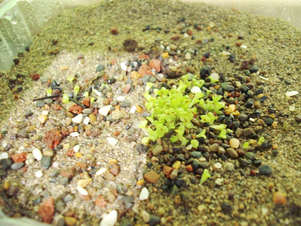 DSCF2595.jpg