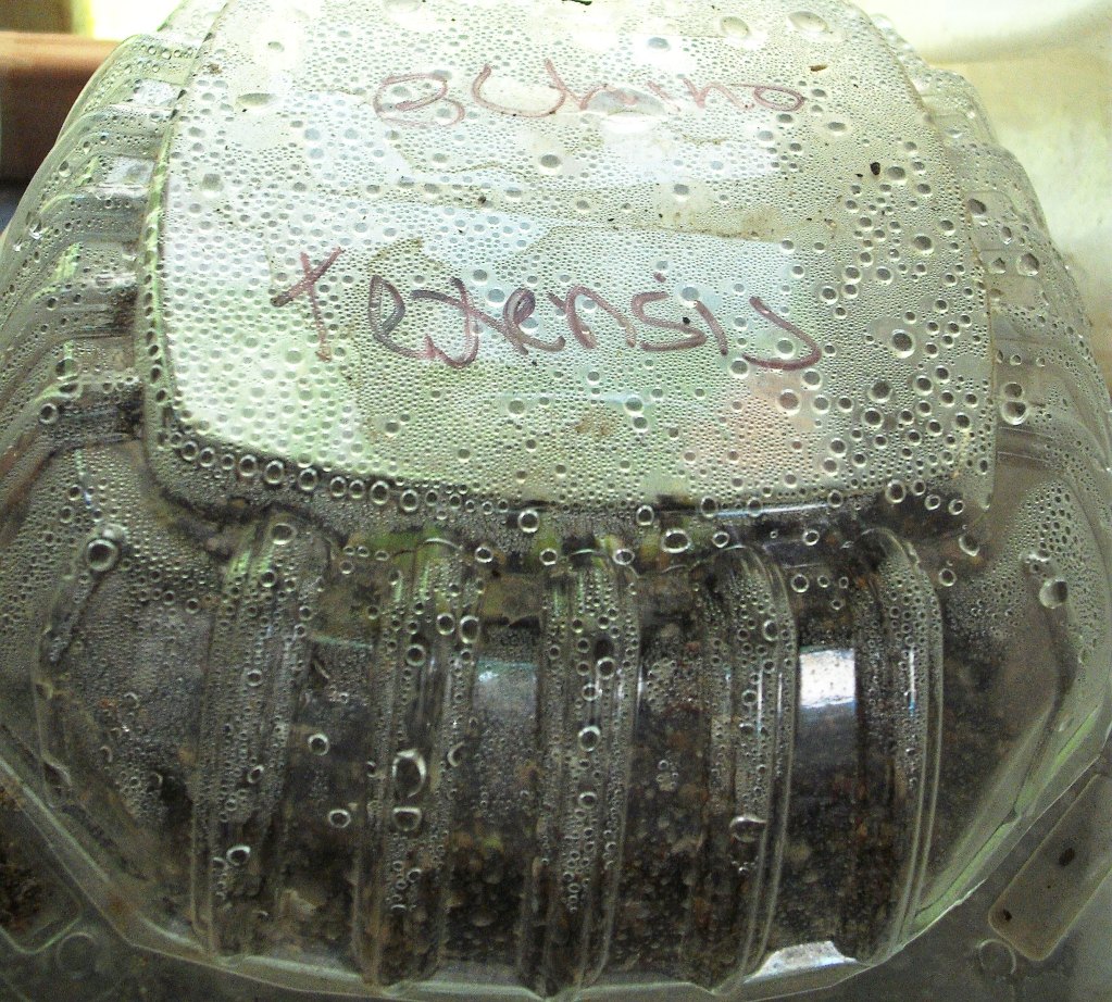DSCF2612.jpg