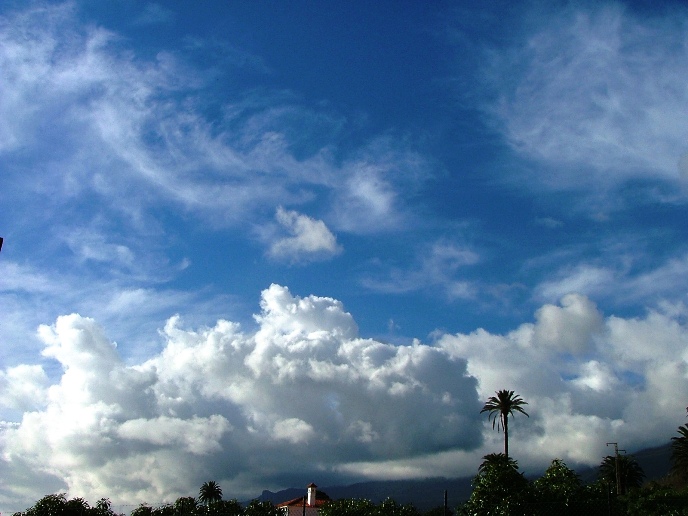 DSCF2613.JPG