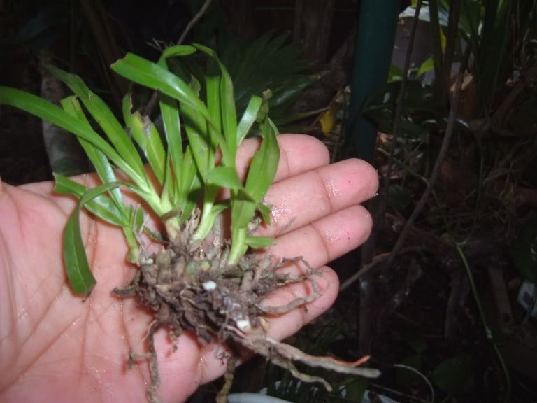 DSCF2625.jpg