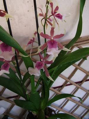 DSCF26281.jpg