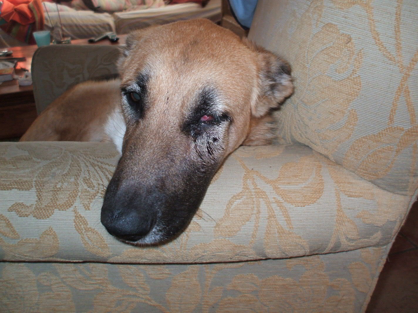 DSCF2644.jpg