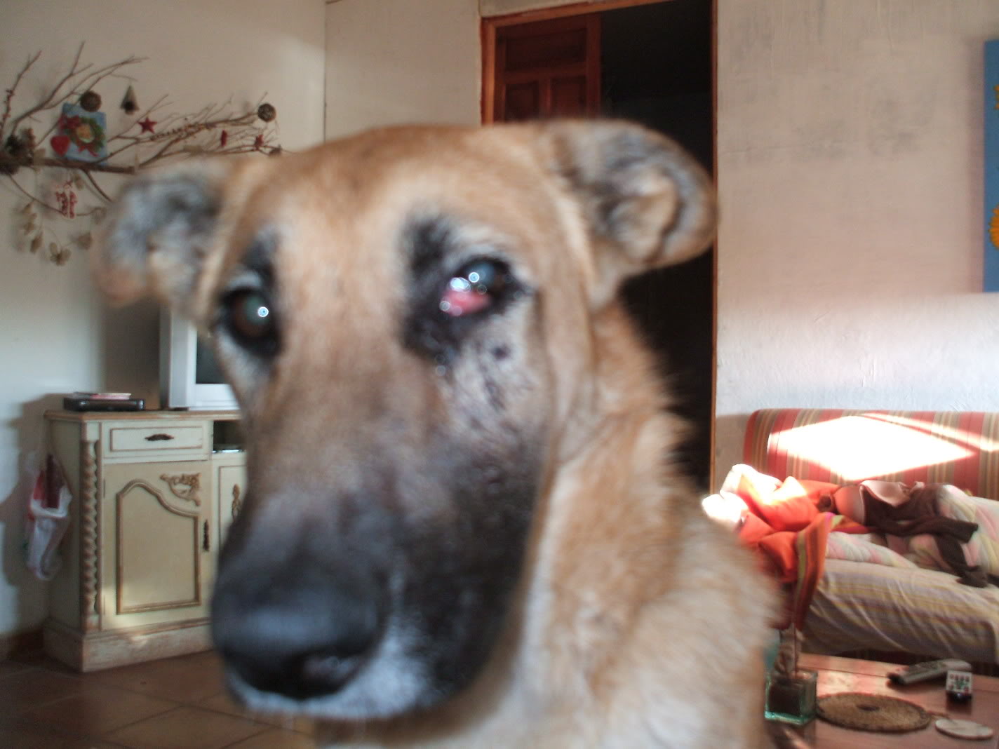 DSCF2645.jpg