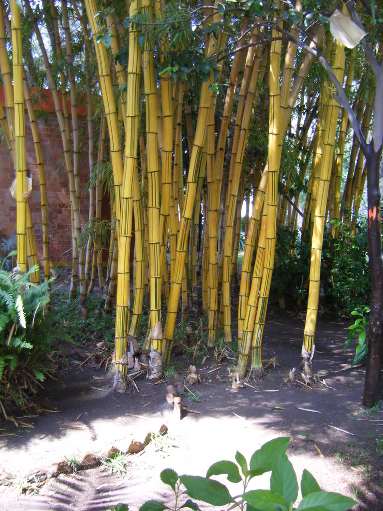 DSCF2647.jpg