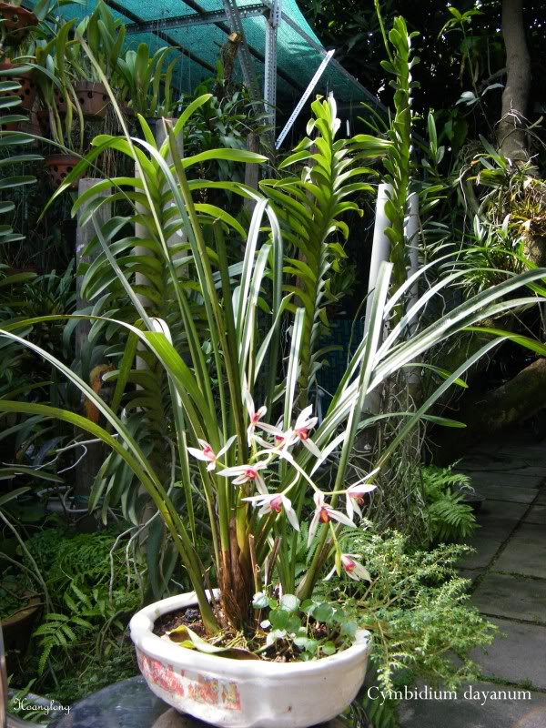 DSCF2661.jpg