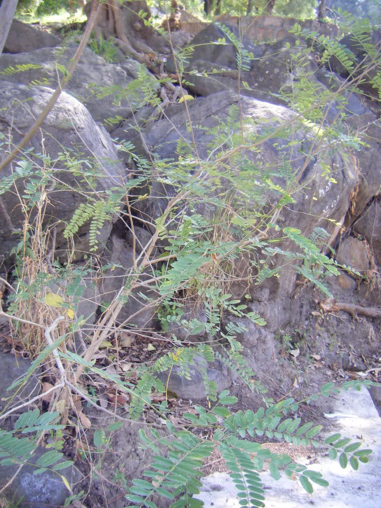 DSCF2670.jpg
